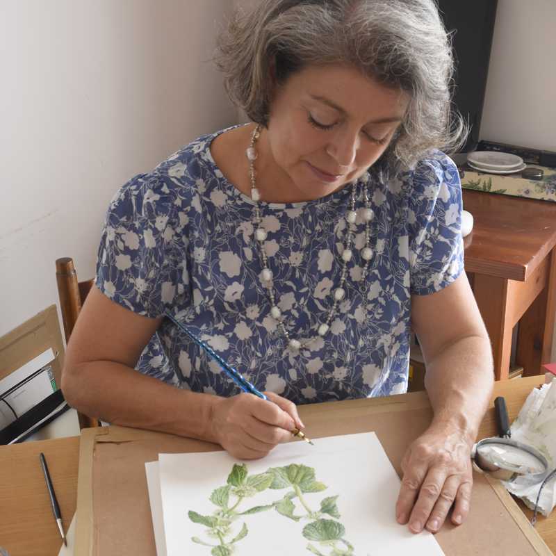 Maria Rita Stirpe